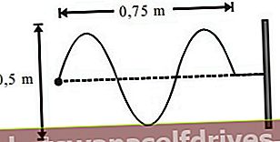 Primer problema širjenja hitrih valov