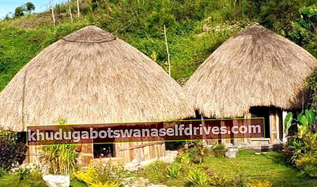 Traditionelt Papuan-hus, halmtaget kegeldesign | Berbol.co.id