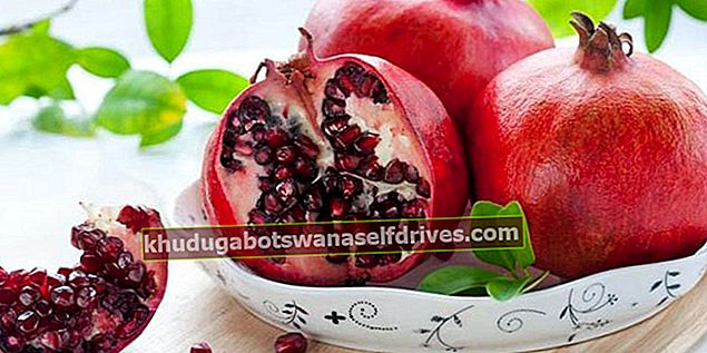 granatæble toga plante og dens egenskaber
