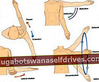 Funktionen af ​​den menneskelige overarm