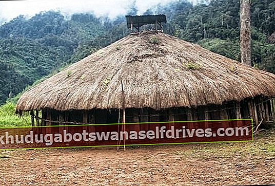 Papuan traditionelt hus