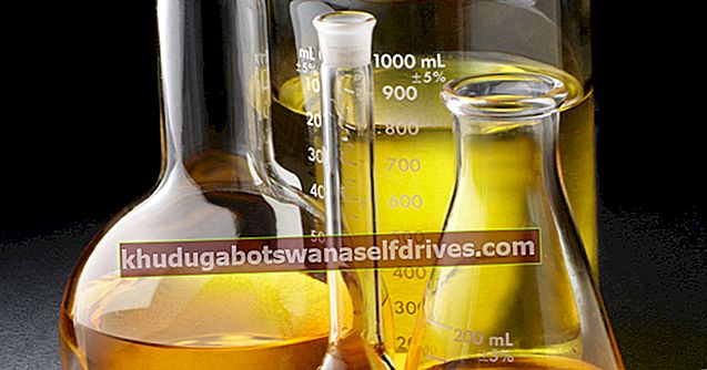 Kemija medu | Čebelja kultura