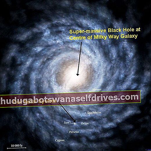Filial galakser og sorte hull