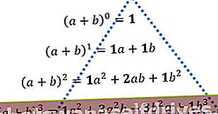 primer problema Pascalovega trikotnika