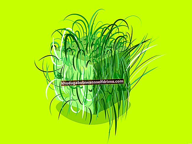 A Teki Grass összetevői és előnyei az egészségre