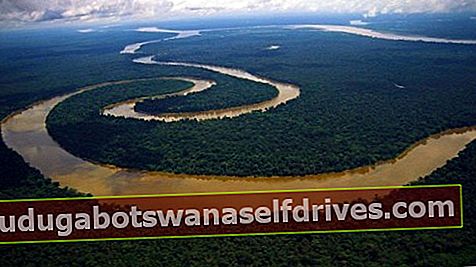 Najdlhšia rieka amerického kontinentu Amazon
