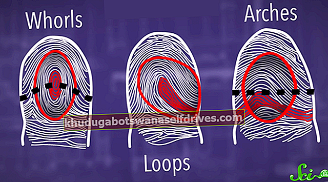 Fingeravtrykk mønster basert på vekstmønster