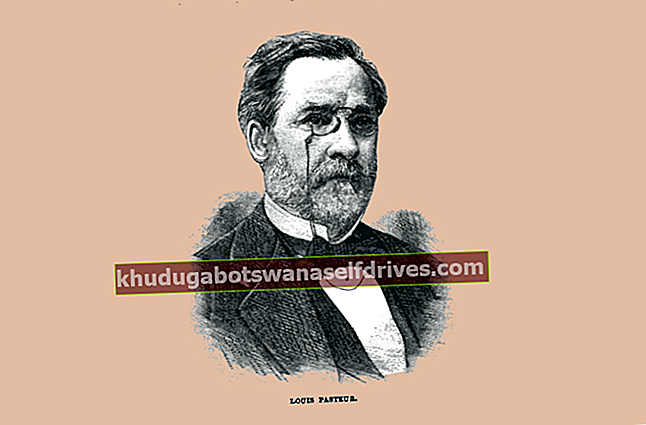 Louis Pasteur, opfinderen af ​​vacciner