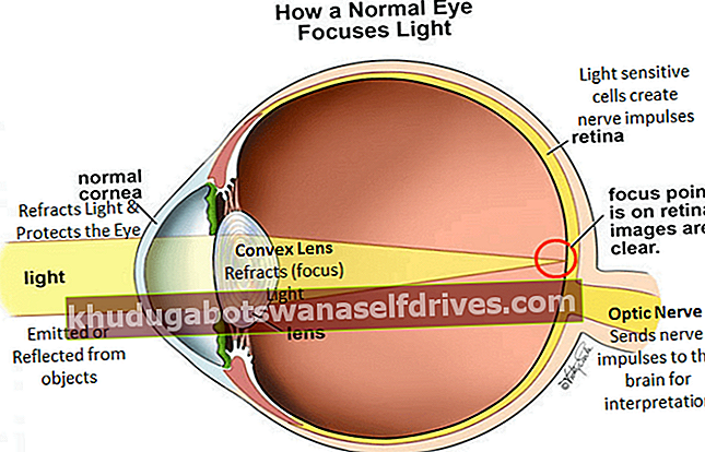 mechanizmus očného pohľadu