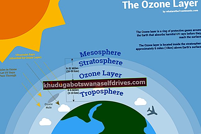 Miljøproblemer på grund af ozon og klima