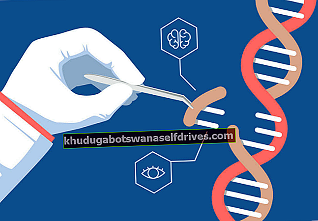 CRISPR-cas9, avansert teknologi for genteknikk