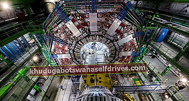גרון LHC