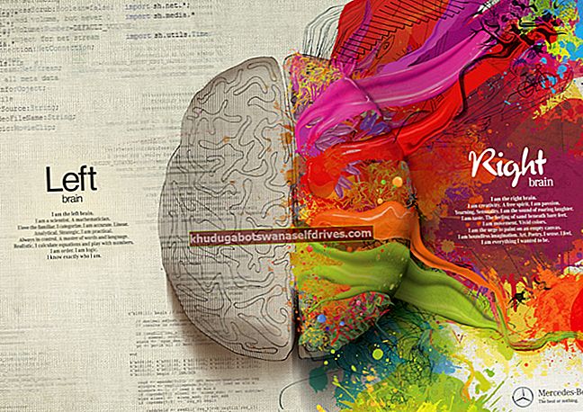 pravý mozog a ľavý mozog