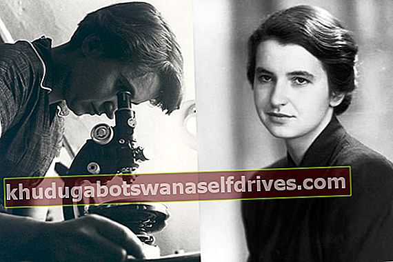 Rosalind Franklin, en kvindelig videnskabsmand, der opdagede DNA