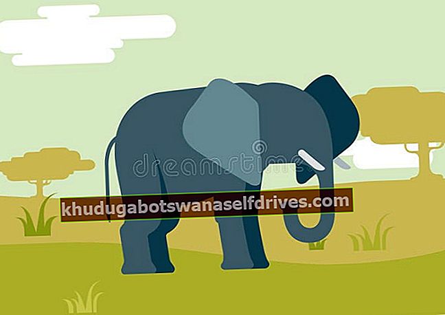 Hvorfor kan ikke elefanter hoppe?