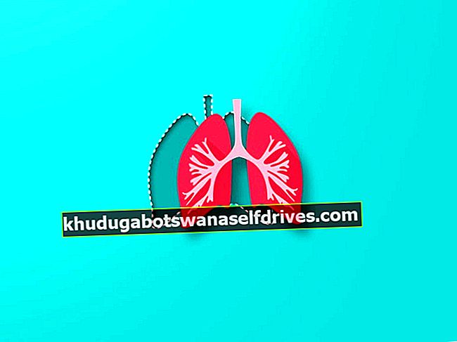 7 lungefunksjoner hos mennesker og deres forklaring
