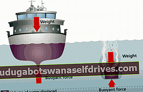 skibs illustration