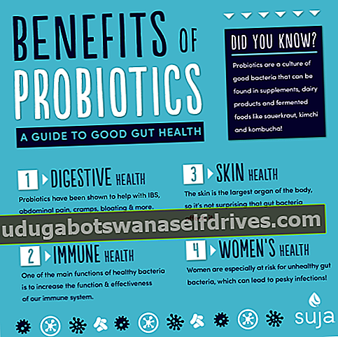 Suja sok Prednosti probiotikov